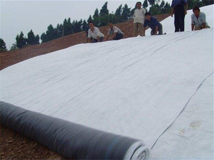 防水毯-山東施工案例