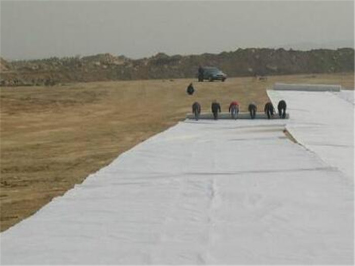 垃圾填埋場專用長絲土工布