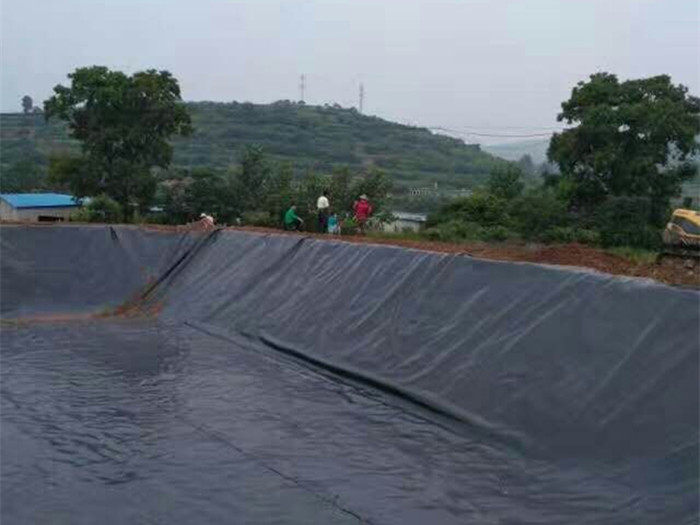 養豬場污水池施工現場